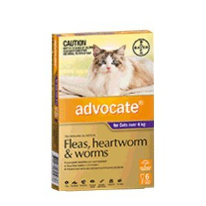 Advocate for Cats over 4kg