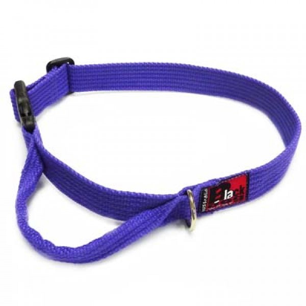 Flyball collar sales