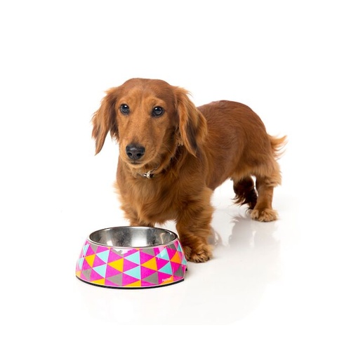 Fuzzyard Crush Easy Feeder Pet Bowl [Size: Large]